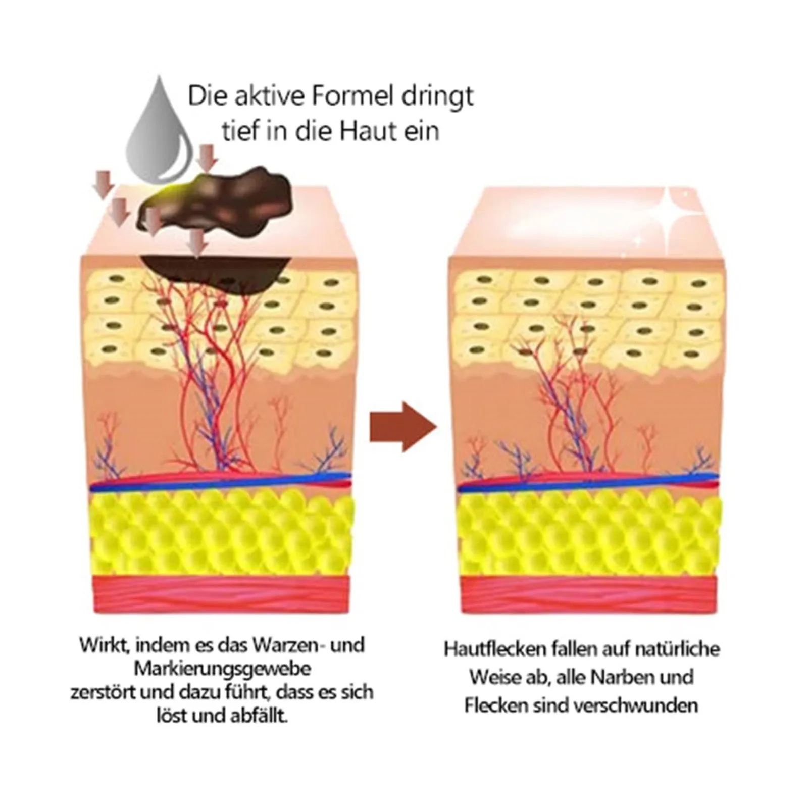 S59b4ce3e3b3c44c4a487121f4d6e441fb