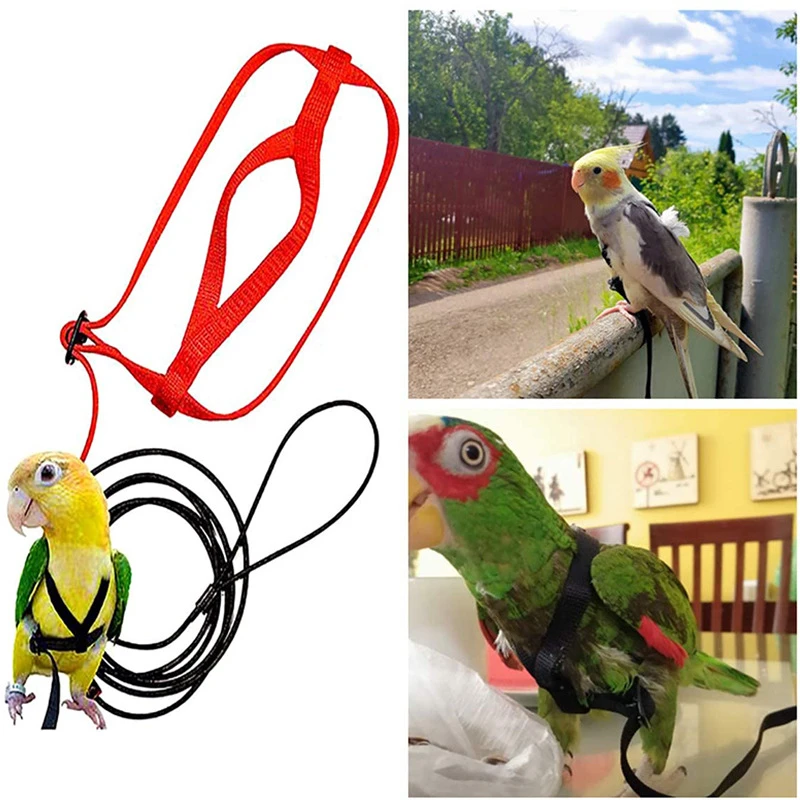 Training Flying Traction Rope Anti-Bite Training Rope Bird Parrot Flying Rope Parrot Harness Bird Harness