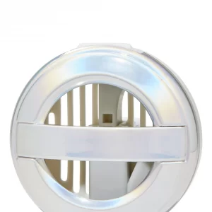Silver Iridescent   Car Fragrance Holder